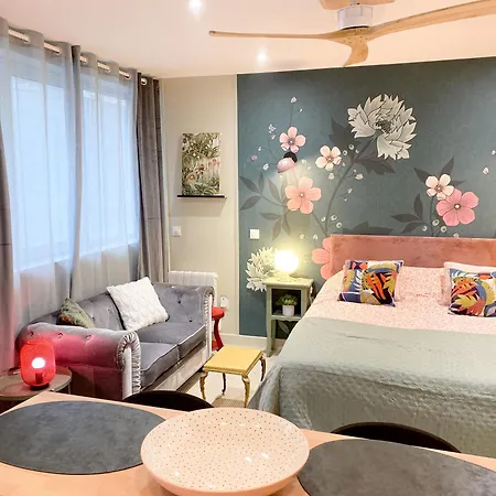 Chic Et Romantique Lyon * 维勒班