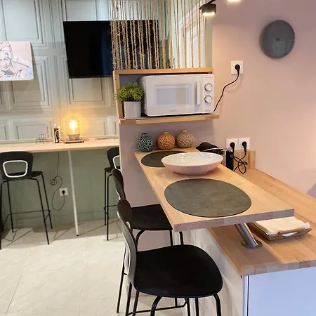 Chic Et Romantique Lyon 公寓 *